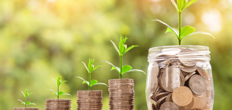 money_plant